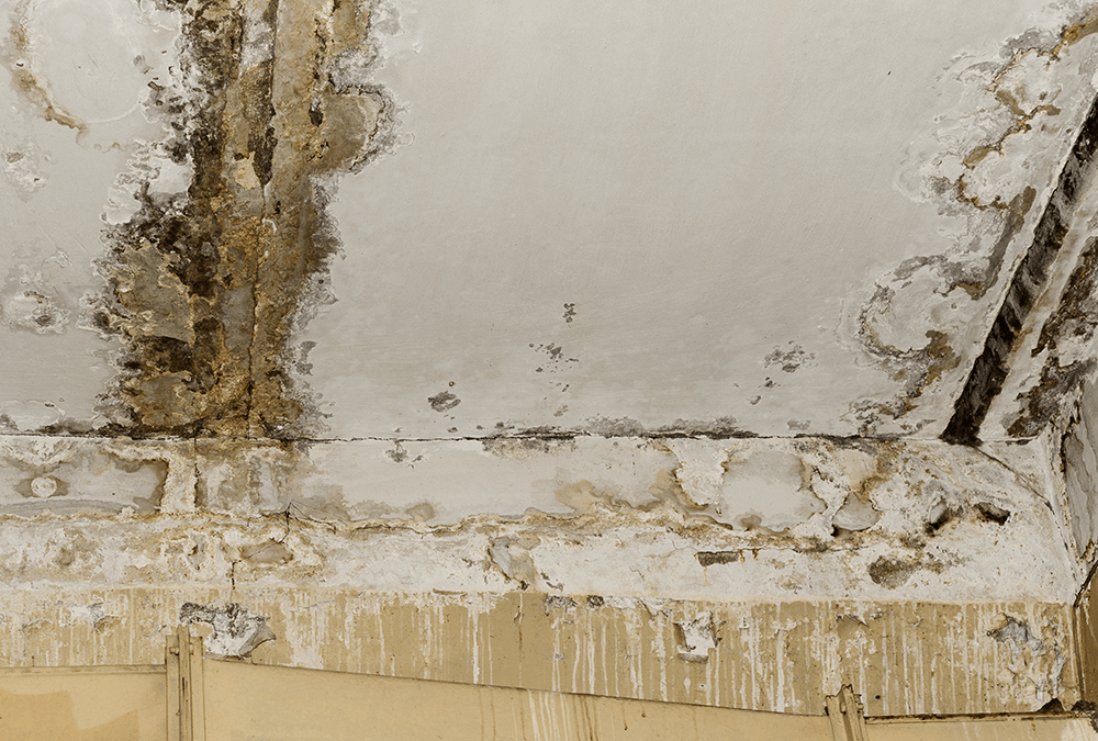 Looking for Signs of Water Damage in the Bathroom